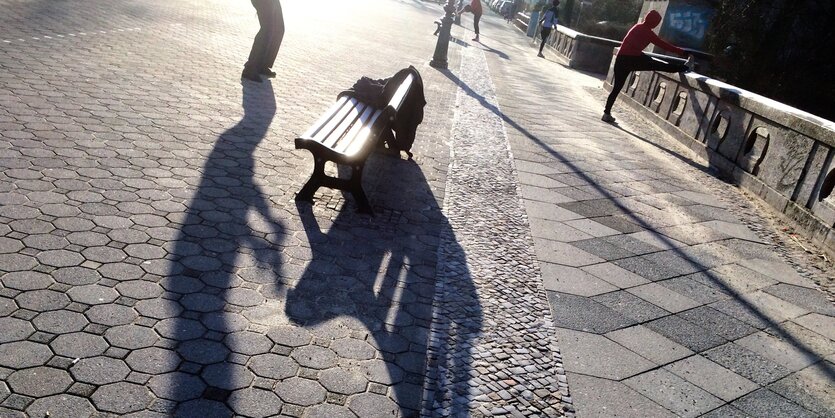 Schatten im Volkspark Wilmersdorf