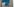 Bild an einer Hauswand mit der Frage: Wo bleiben die Konsequenzen?