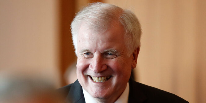 Porträt Horst Seehofer, wie er grinst