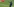 Ein Fußball freut sich und hebt einen Arm