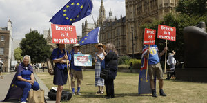 Brexit-Gegner mit Transparenten vor Houses of Parliament