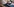 Eine Frau zeigt ein Bild auf dem Smartphone, auf dem eine Gruppe Menschen zu sehen sind