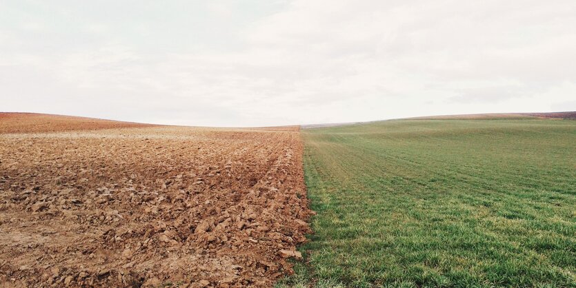 Ein bestelltes und ein nicht-bestelltes Feld