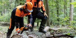 Eine Frau in Schutzkleidung zerkleinert mit einer Kettensäge einen Baumstamm