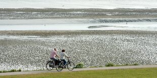 Fahrradfahrer auf dem Deich