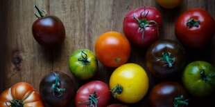 Bunte Tomaten