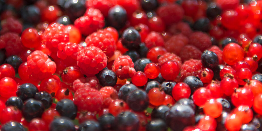 Himbeeren, Blaubeeren und Johannisbeeren gemixt