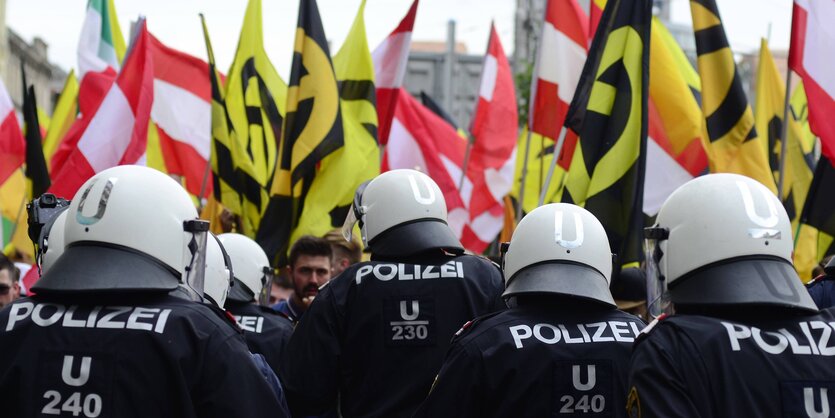 Polizisten stehen vor Demonstranten mit Flaggen