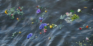 Blumen treiben auf einem Gewässer