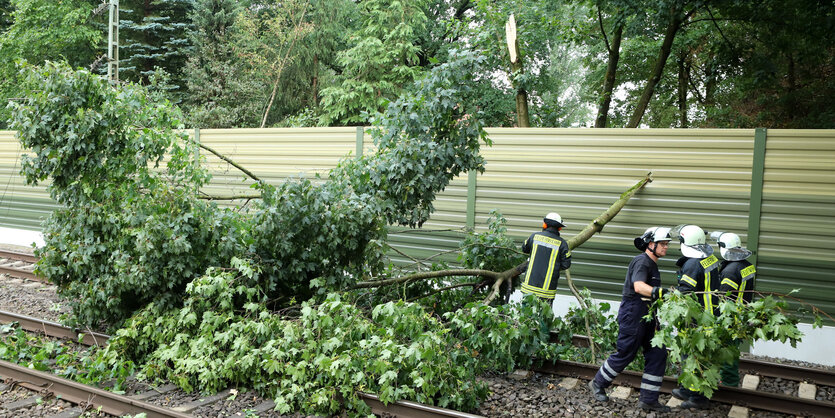 Feuerwehrleute räumen umgestürzten Baum auf Bahnschiene weg