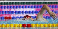 Ein Schwimmer zieht in einem Becken seinen Bahnen
