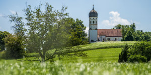 Weiße Kirche mit Turm in grüner Landschaft
