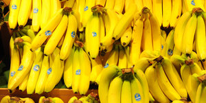 Bananen in einer Supermarktauslage