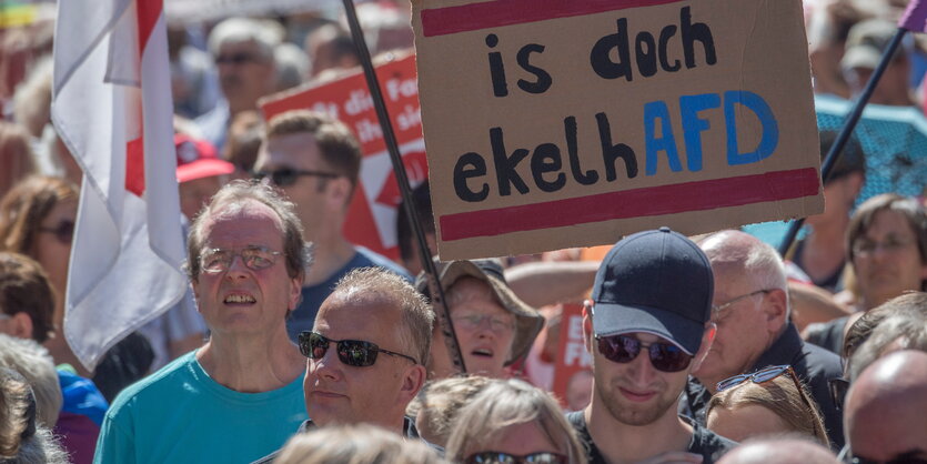 Demonstranten, einer hält ein Schild, auf dem steht „is doch ekelAFD“