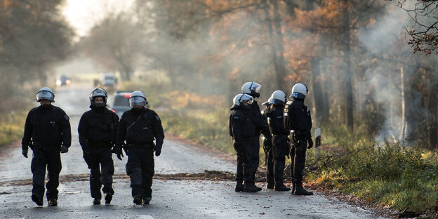 Im Hambacher Forst stehen Polizisten auf einer Straße mitten im Wald