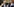 Daniel Günther (CDU) mit Bodo Ramelow (Die Linke) im Bundesrat