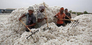 Mehrere Arbeiter in einem Baumwollhaufen