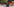 Demonstranten mit Transparent "Sterben, Frau Merkel", davor Polizisten