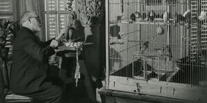 Der Maler Henri Matisse und Käfige mit seinen Tauben
