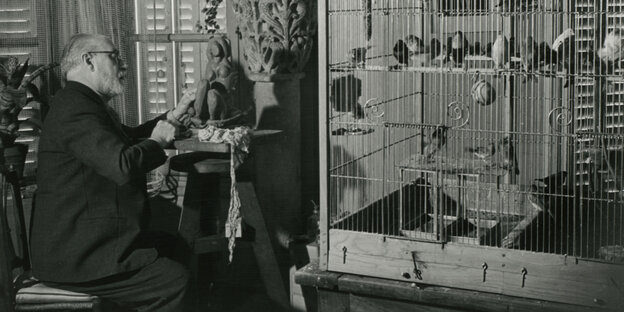 Der Maler Henri Matisse und Käfige mit seinen Tauben