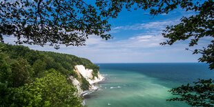 Kreidefelsen auf Rügen