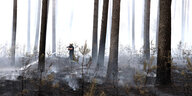 Ein Feuerwehrmann hält den Strahl aus einem Wasserschlauch in einen vom Brand zerstörten Forst