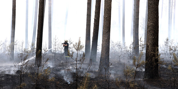 Ein Feuerwehrmann hält den Strahl aus einem Wasserschlauch in einen vom Brand zerstörten Forst