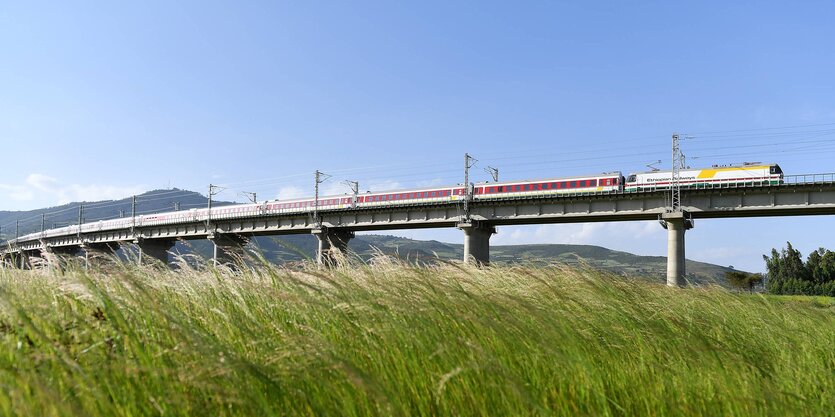 ein Schnellzug fährt auf einer auf Stelzen stehenden Bahntrasse durch eine Wiesenlandschaft