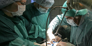 Bei einer Operation wird einem Spender eine Niere entnommen