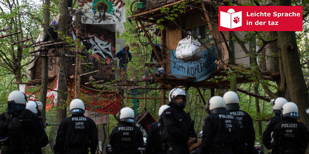 Polizisten stehen vor zwei Baumhäusern im Hambacher Forst