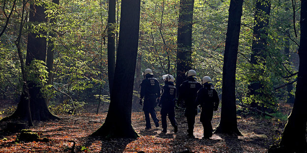 Polizisten mit weißen Helmen stehen in einem Wald