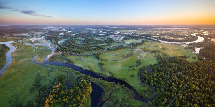 Grüne Landschaft mit einem Fluss von oben betrachtet