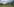 Landschaft mit Wiese, Kühen und Haus