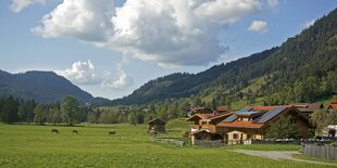 Landschaft mit Wiese, Kühen und Haus