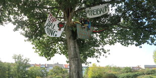 Mehrere Menschen sitzen in einem Baumhaus im Görlitzer Park