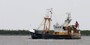 Ein Fischkutter auf dem Meer