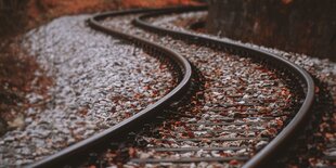 Auf einem Bahngleis liegen ein Blätter