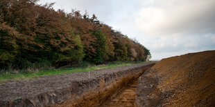 Am Hambacher Forst befindet sich ein Graben am Waldrand