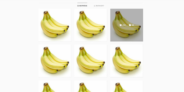 Screenshot, auf dem mehrfach das gleiche Foto einer Banane zu sehen ist