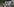 Leute mit Fotos