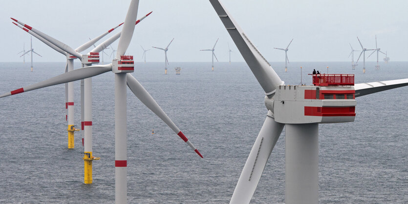 Mehrere Windräder in der Nordsee