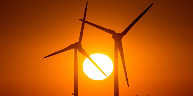 Windräder vor Sonnenuntergang