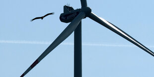 Vogel vor Windkraftanlage