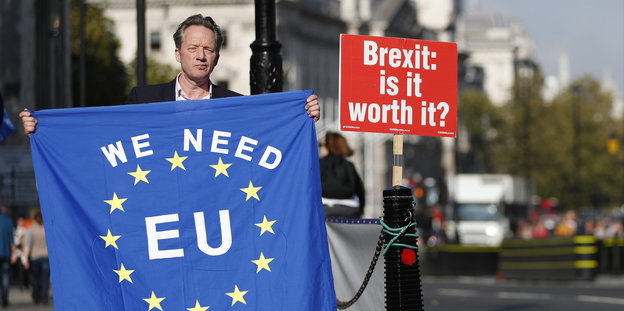 Ein Brexitgegner protestiert mit EU-Flagge