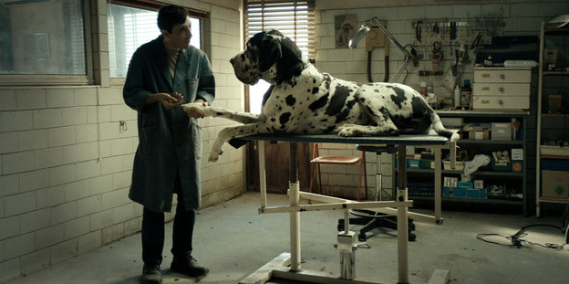 In einem Raum steht ein Mann mit einem Kittel, davor sitzt ein großer Hund auf einem Tisch