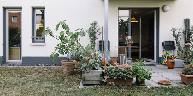 Eine Terrasse, davor Rasen und viele Pflanzen