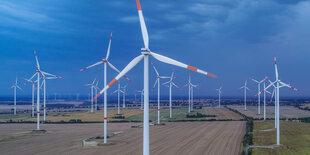 Windräder auf einem Feld