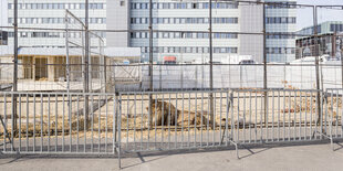 Ein Löwe liegt auf dem Hamburger Hieligengeistfeld vor einem Hochhaus.