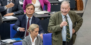 Drei AfD-Politiker_innen im Bundestag, darunter Alice Weidel und Alexander Gauland