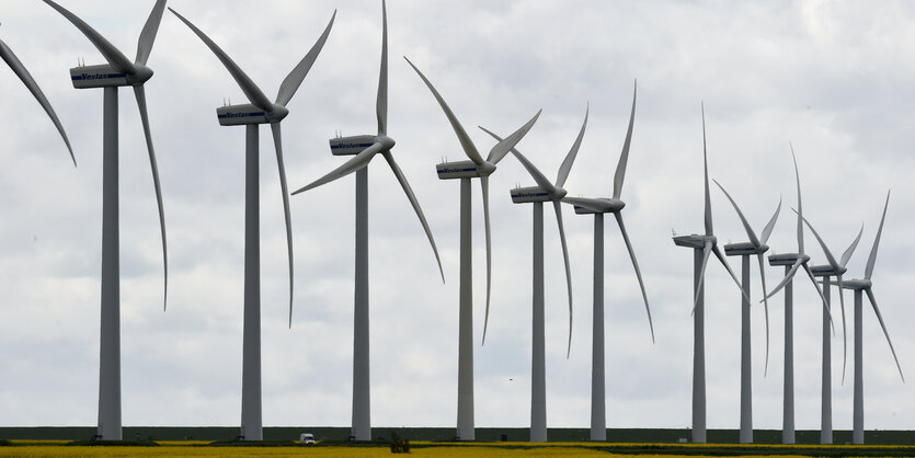 Eine Reihe Windräder stehen nebeneinander auf einem Feld.